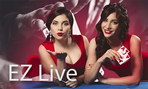 Slotvip Bingo Community